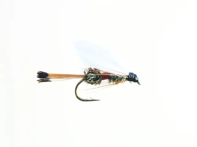 Xstream Royal Coachman #8Dobbelkrok 3 Xstream Royal Coachman #8Dobbelkrok