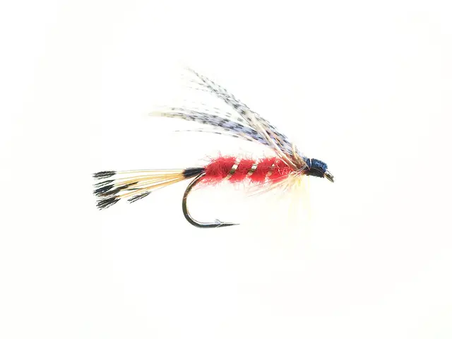 Xstream Teal & Red #12Dobbelkrok 3 Xstream Teal & Red #12Dobbelkrok