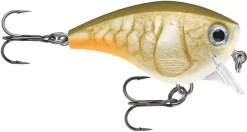 Rapala BX Brat 3' BOCCrank-wobbler Perfekt För Abborrfiske