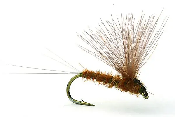 Umpqua Flies Rune's CdC No-hackle Olive #16Kvalitetsfluer Fra Kjente Leverandører 3 Umpqua Flies Rune's CdC No-hackle Olive #16Kvalitetsfluer Fra Kjente Leverandører