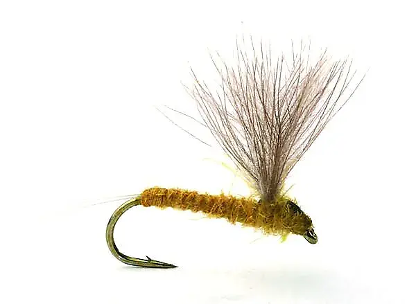 Umpqua Flies Rune's CdC No-hackle Light Olive #14Kvalitetsfluer Fra Kjente Leverandører 3 Umpqua Flies Rune's CdC No-hackle Light Olive #14Kvalitetsfluer Fra Kjente Leverandører
