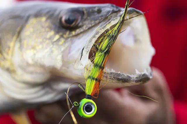 VMC Moontail Jigs White 10,5gJigghoder Utstyrt Med Bucktail Og Flash 7 VMC Moontail Jigs White 10,5gJigghoder Utstyrt Med Bucktail Og Flash - Bild 5