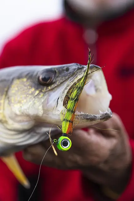 VMC Moontail Jigs White 10,5gJigghoder Utstyrt Med Bucktail Og Flash 4 VMC Moontail Jigs White 10,5gJigghoder Utstyrt Med Bucktail Og Flash - Bild 2