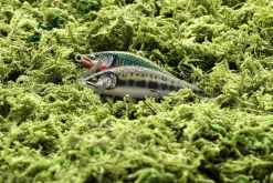 Rapala CountDown Elite GDPY 9,5cmWobbler Med Maksimal Kastedistanse -Jiggar & softbaits säljbutik cde rapala countdown elite miljo 11.640 1