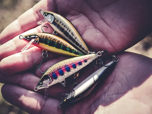 Rapala CountDown Elite GDCO 9,5cmWobbler Med Maksimal Kastedistanse 4 Rapala CountDown Elite GDCO 9,5cmWobbler Med Maksimal Kastedistanse - Bild 2