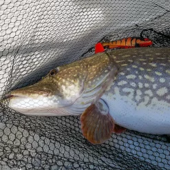 Daiwa Prorex Lazy Shad 16cmHeadlight Flake 8 Daiwa Prorex Lazy Shad 16cmHeadlight Flake -Jiggar & softbaits säljbutik daiwa lazy shad miljo 1.640 8