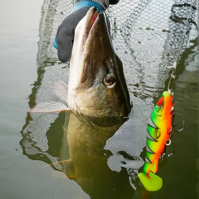 Daiwa Prorex Lazy Shad 16cmHeadlight Flake 6 Daiwa Prorex Lazy Shad 16cmHeadlight Flake - Bild 4