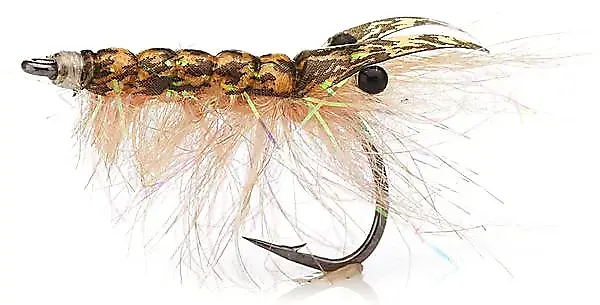 Unique Flies Polarrejen Tan Str. 4Kjøp 12 Fluer Få Gratis Flueboks 3 Unique Flies Polarrejen Tan Str. 4Kjøp 12 Fluer Få Gratis Flueboks
