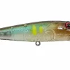 Mustad Burpy Popper Ghost AYU65F