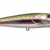 Mustad Burpy Popper Rainbow Trout65F 1 Mustad Burpy Popper Rainbow Trout65F -Jiggar & softbaits säljbutik mustad burpy popper rainbow trout.640