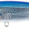 Prey Target Blue Mirror 6cmLangtkastende Wobbler Som Imiterer Bytte 1 Prey Target Blue Mirror 6cmLangtkastende Wobbler Som Imiterer Bytte -Jiggar & softbaits säljbutik prey target 005 bluemirror.600