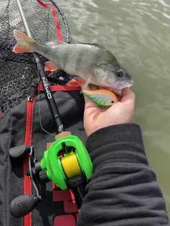 Rapala Rippin Rap BLK 5cmLangtkastende Vibrerende Wobbler 9 Rapala Rippin Rap BLK 5cmLangtkastende Vibrerende Wobbler -Jiggar & softbaits säljbutik rapala rippin rap miljo 02.640 2