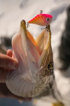 Rapala Rippin Rap BLK 5cmLangtkastende Vibrerende Wobbler 11 Rapala Rippin Rap BLK 5cmLangtkastende Vibrerende Wobbler -Jiggar & softbaits säljbutik rapala rippin rap miljo 05.640