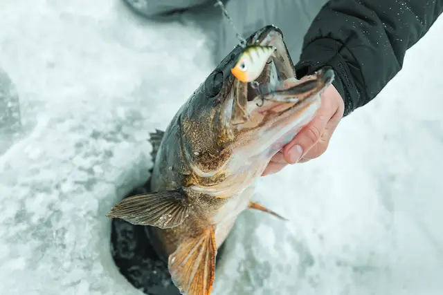 Rapala Rippin Rap MFT 5cmLangtkastende Vibrerende Wobbler 8 Rapala Rippin Rap MFT 5cmLangtkastende Vibrerende Wobbler - Bild 6