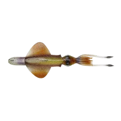 Savage Gear Swim Squid RTF 25cm 160g SHorny Squid