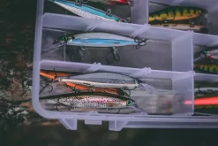 Rapala Shadow Rap CLN 7cmImitasjon Av Døende Byttefisk -Jiggar & softbaits säljbutik sdr shadow rapala lifestyle dsc1294 2 result.640