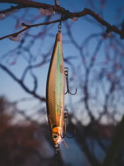 Rapala Shadow Rap YP 11cmImitasjon Av Døende Byttefisk -Jiggar & softbaits säljbutik sdr shadow rapala lifestyle lures tree result.640