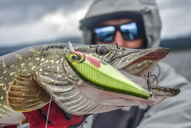 Rapala Super Shadow Rap HTP 16cmUimotståelig Wobbler For Predatorer 7 Rapala Super Shadow Rap HTP 16cmUimotståelig Wobbler For Predatorer - Bild 5