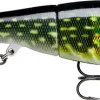 Rapala X-Rap Peto PKL 20cmSaktesynkende Hybridagn I Trigger Farger