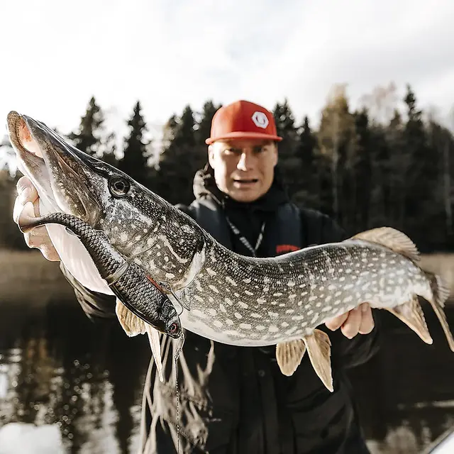 Rapala X-Rap Peto PEL 20cmSaktesynkende Hybridagn I Trigger Farger 6 Rapala X-Rap Peto PEL 20cmSaktesynkende Hybridagn I Trigger Farger - Bild 4